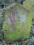 image of grave number 624696
